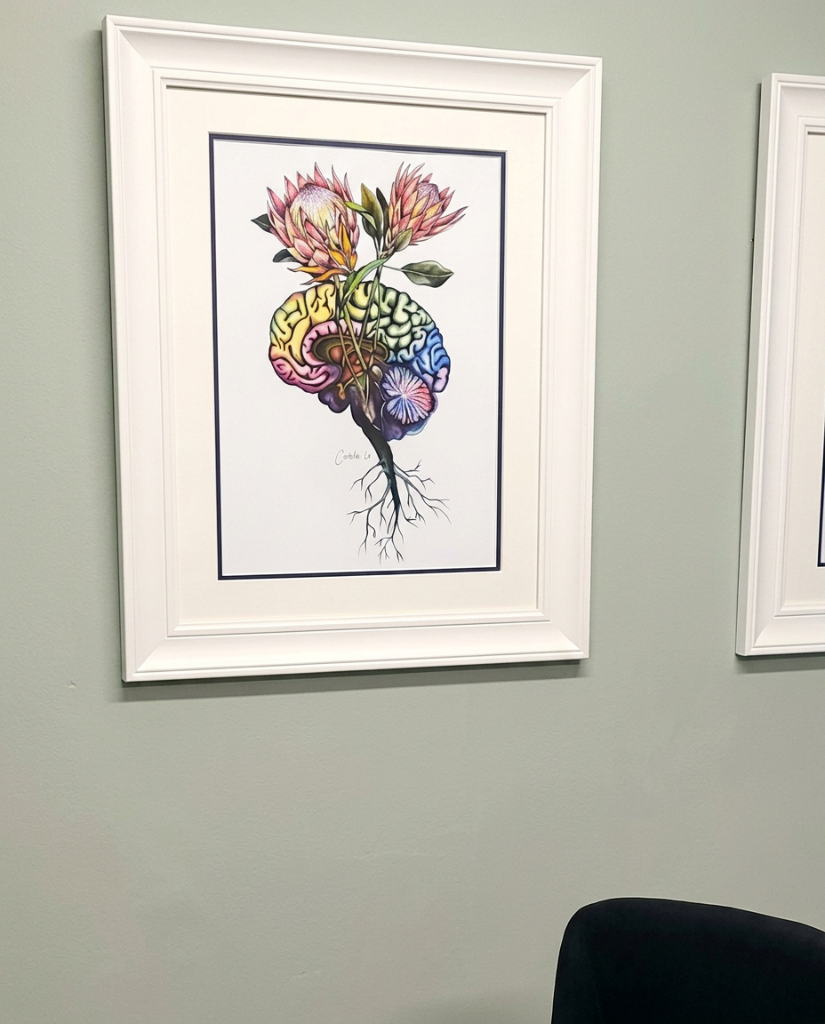Framed botanical-anatomy artwork on a sage wall in a WillowMed consulting room